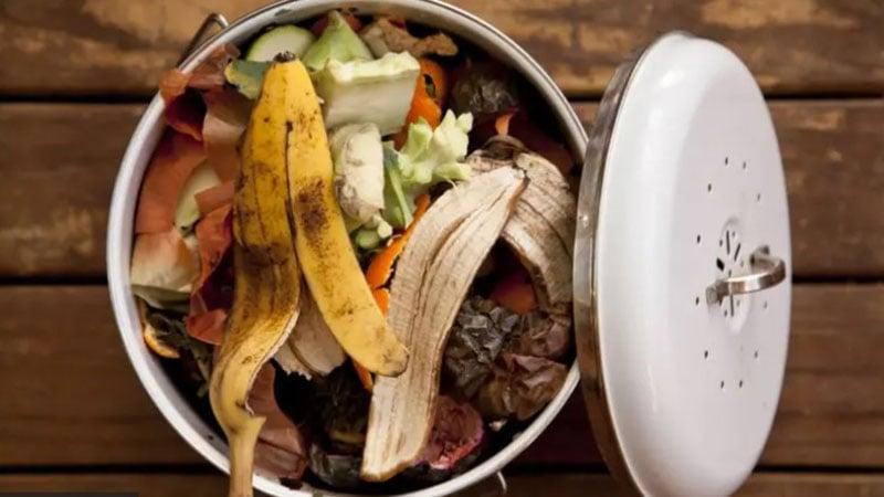 Bangladesh households waste 14.10 million tonnes of food per year: Report
