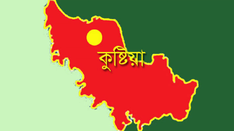 Female doctor allegedly assaulted in Kushtia