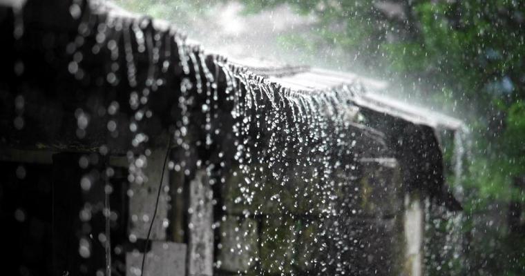 Rains likely in Dhaka, 4 other divisions in 24 hours