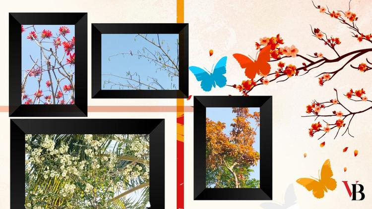 Springtime stories from 3 villages